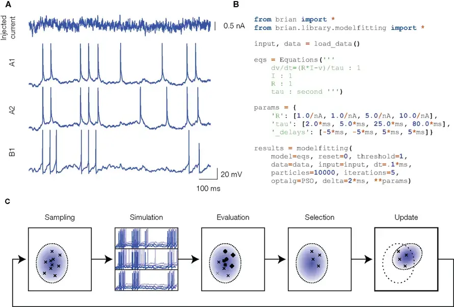 Brian simulator visualization