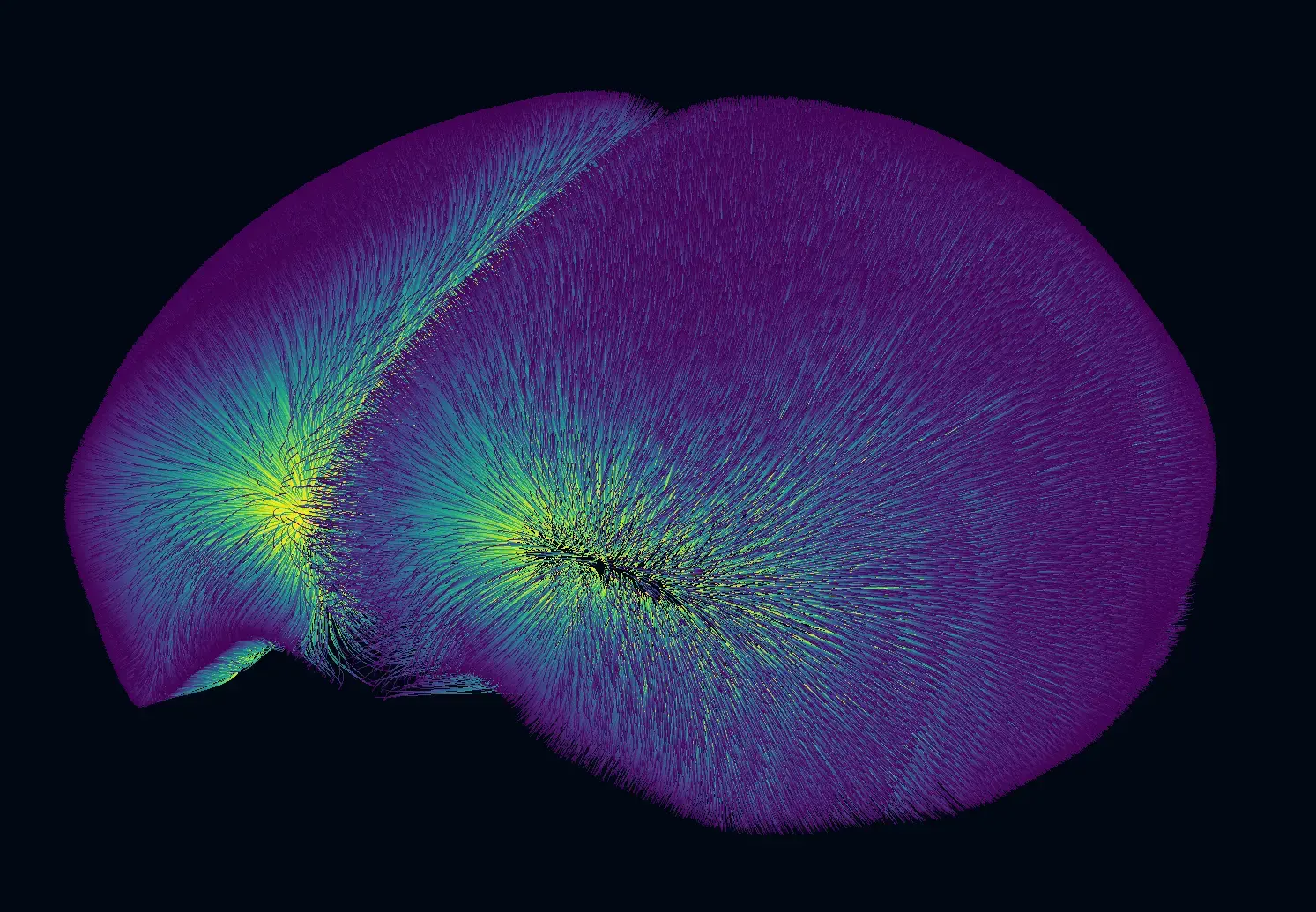 streamlines project visualization