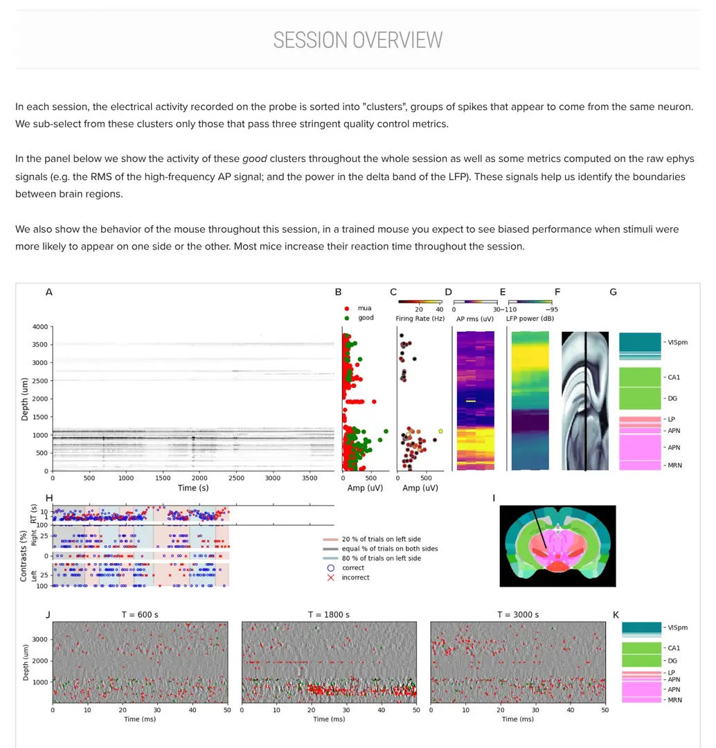 IBL Viz website screenshot